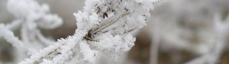 Foto1: Beeinträchtigung durch Eis und Schnee